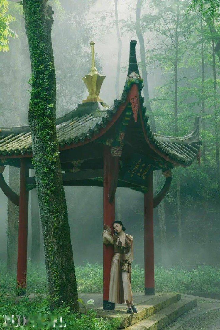 新忍出击